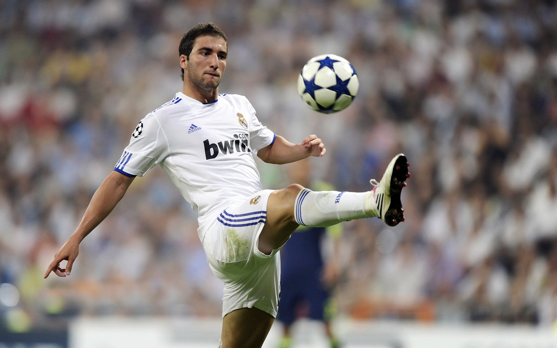 主场作战的球队击败了对手，喜迎胜利，主场作战下一句是啥